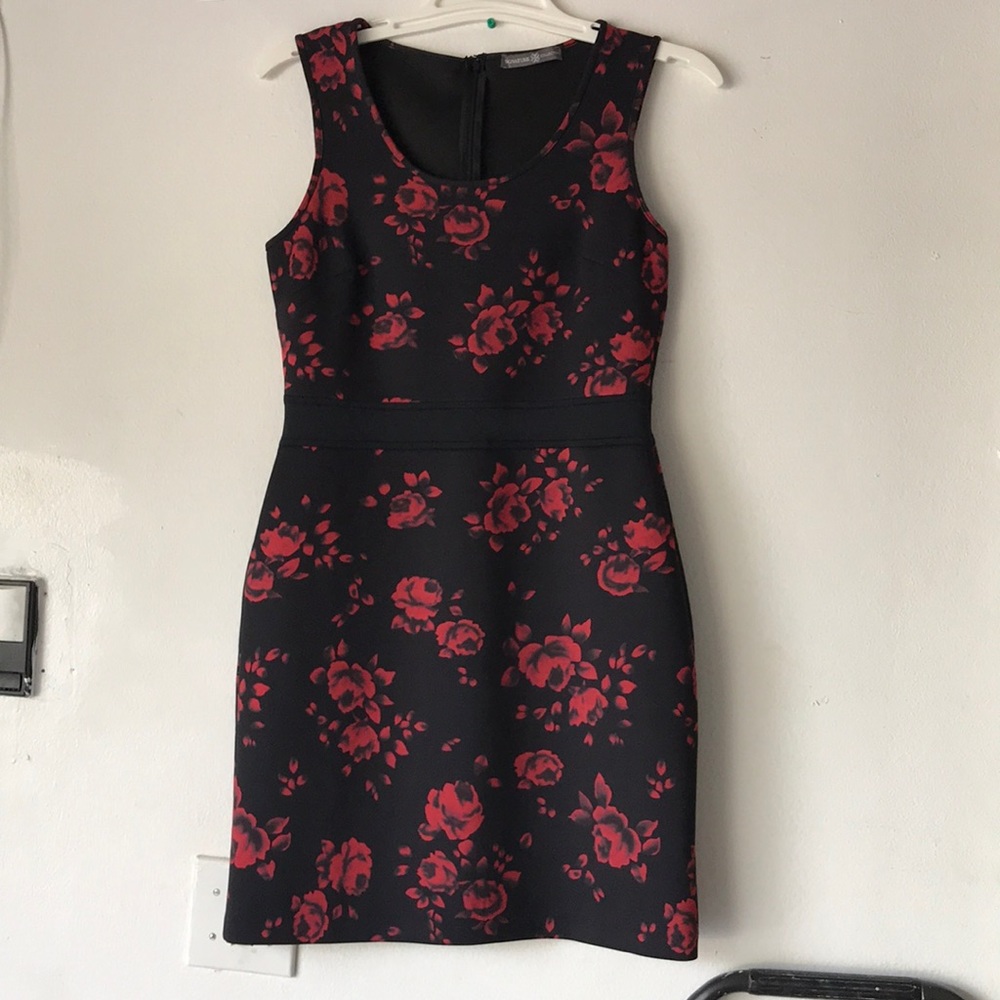 Signature &Collection dress
